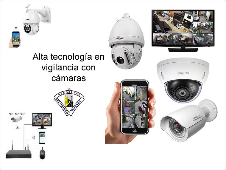SEGSALVAS LTDA: Seguridad Electrónica, vigilancia y monitoreo